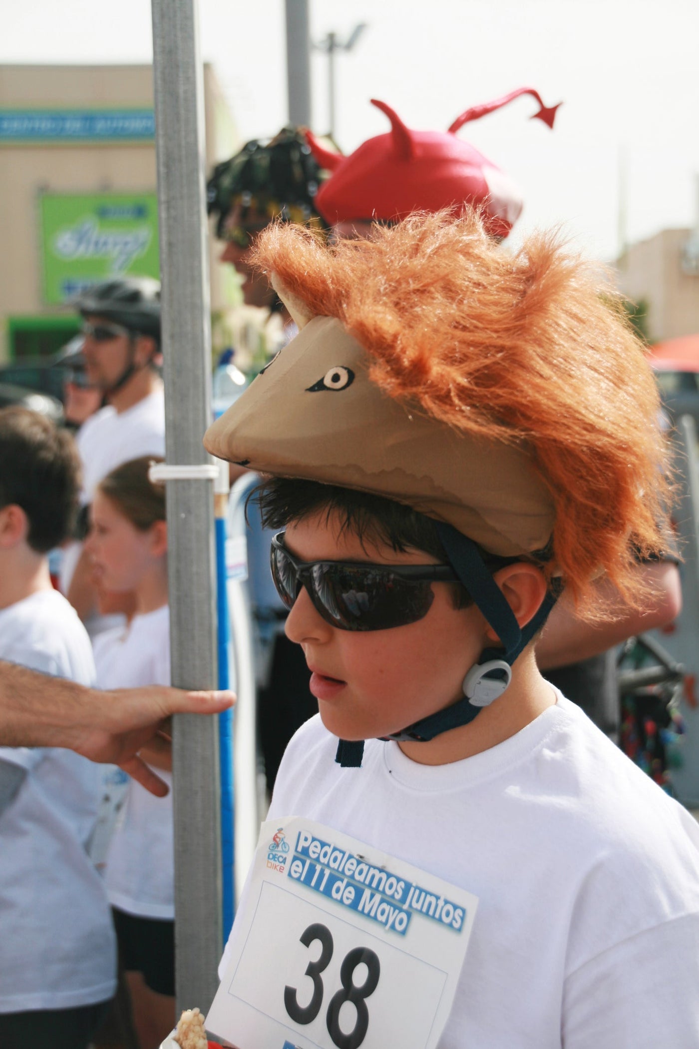 Coolcasc Animals Helmet Cover Lion.