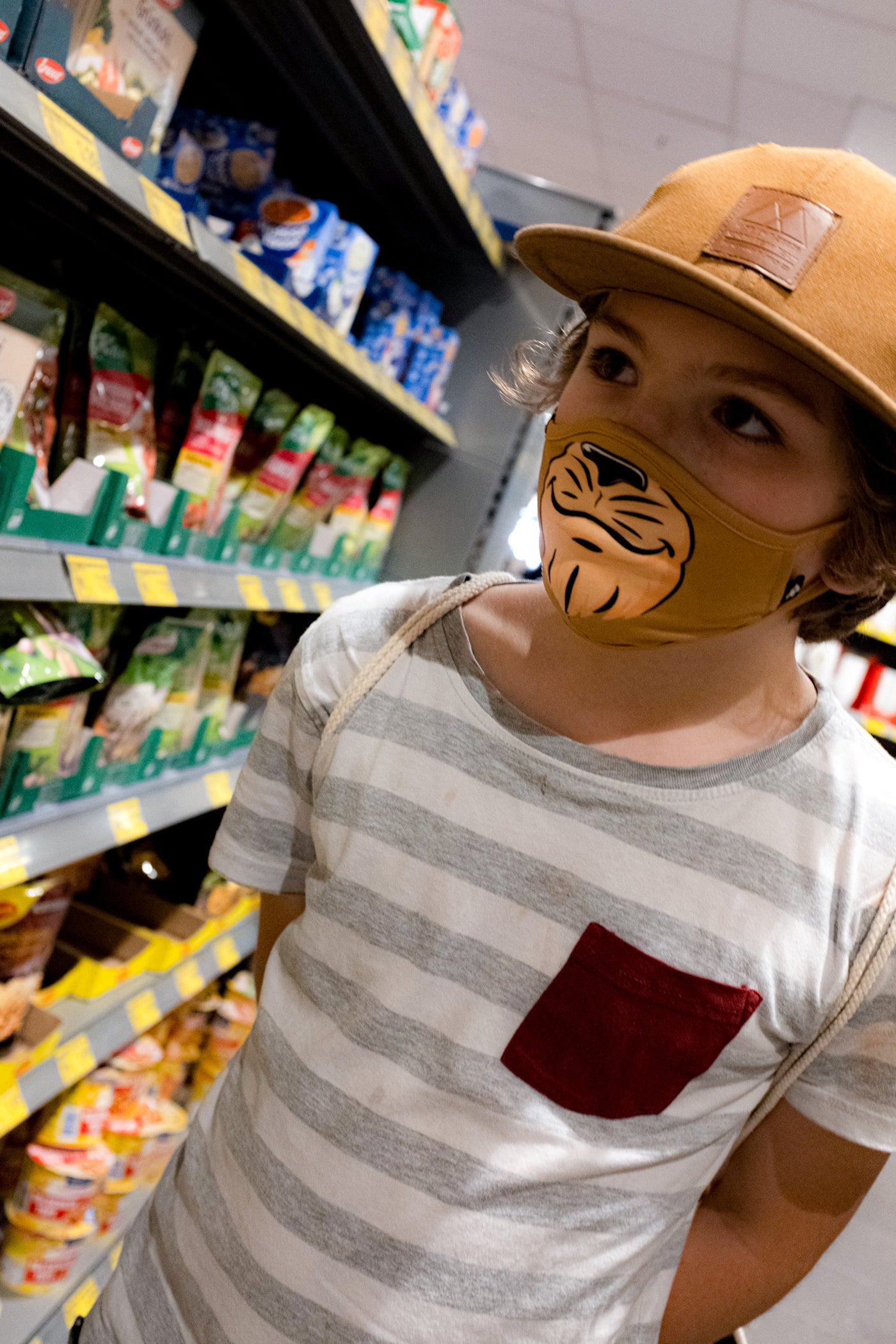 WeeDo Kids Face Mask Lion